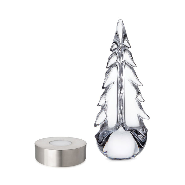 Evergreen Essentials Gift Set view 1