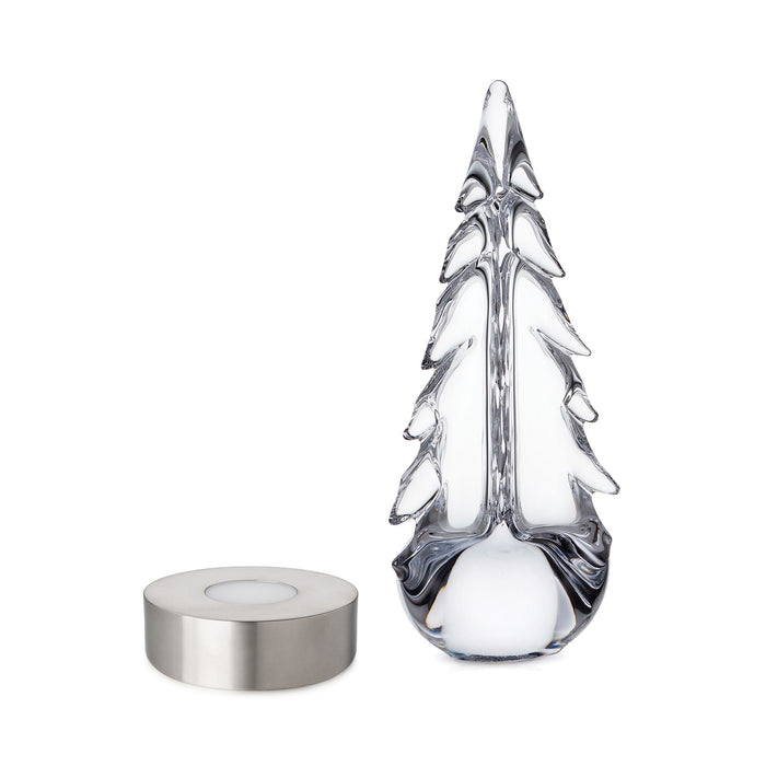 Evergreen Essentials Gift Set view 1