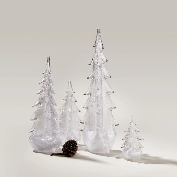 Silver Leaf Evergreen view 2