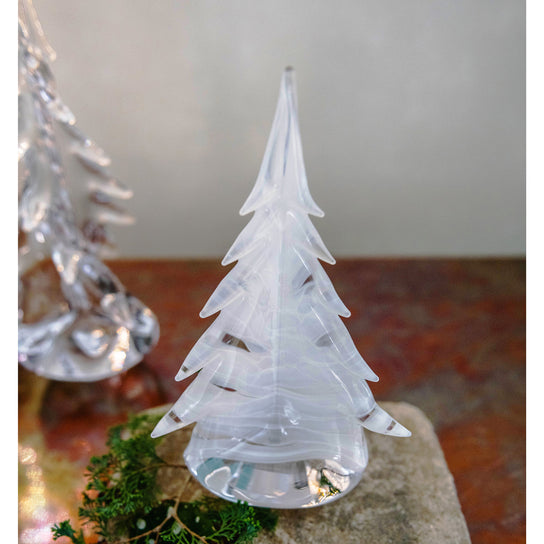 Snowdrift Evergreen in Gift Box view 4