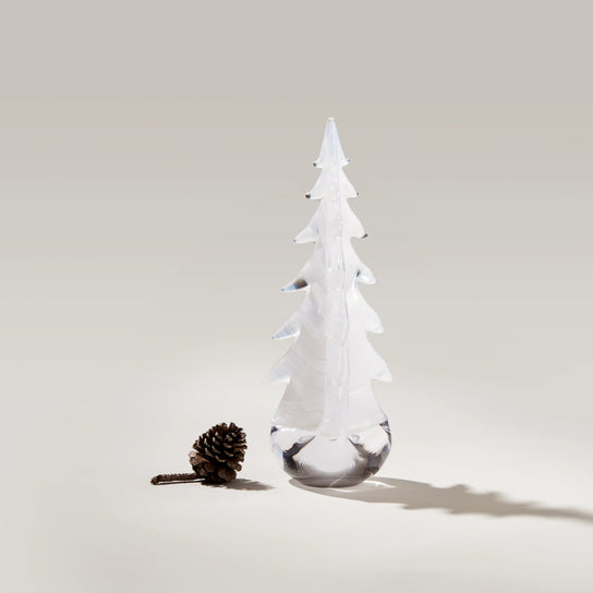 Snowdrift Evergreen in Gift Box view 4