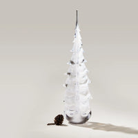 Snowdrift Evergreen in Gift Box view 5