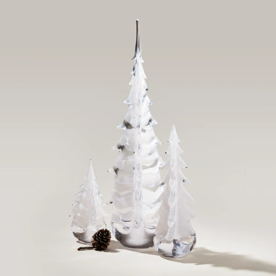 Snowdrift Evergreen in Gift Box view 2