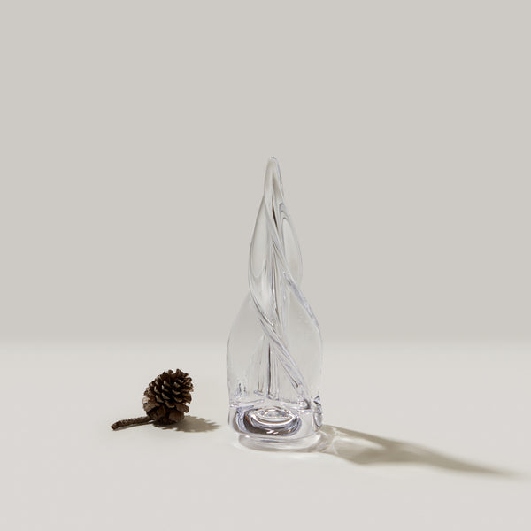 Spiral Four-Sided Evergreen in Gift Box view 2