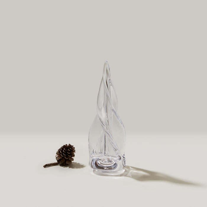 Spiral Four-Sided Evergreen in Gift Box view 2