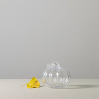 Pumpkin Twist view 3