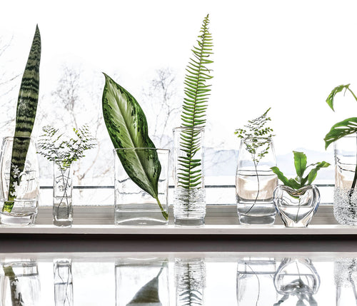 Clear glass bud vases in various sizes arranged in a row, each holding different green foliage and plant stems.