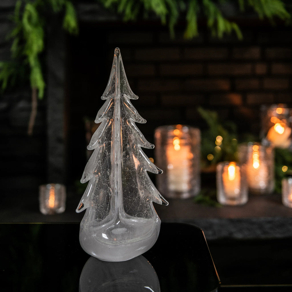 Vela Evergreen in Gift Box view 5