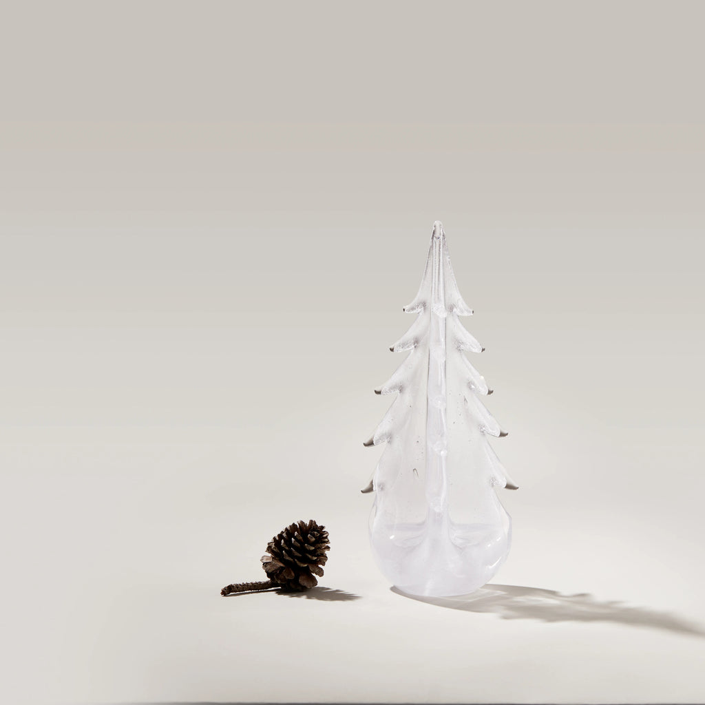 Vela Evergreen in Gift Box view 3