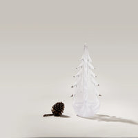 Vela Evergreen in Gift Box view 3