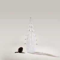 Vela Evergreen in Gift Box view 4