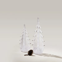 Vela Evergreen in Gift Box view 2