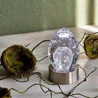 Vela Egg in Gift Box view 6