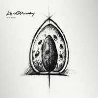 Vela Egg in Gift Box view 3