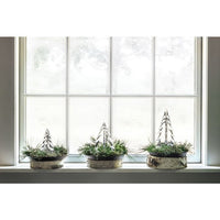 Vermont Evergreen Trio view 5