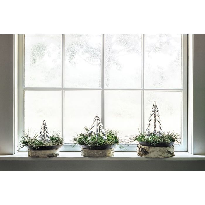 Three potted evergreen plants with white-wrapped trunks displayed on a windowsill in birch-textured containers.
