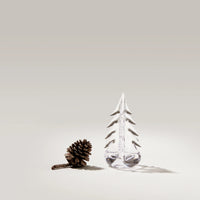 Vermont Evergreen in Gift Box view 4